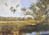 Sunup Flight-Wood Ducks